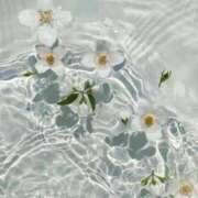 ヒメ日記 2025/01/21 05:33 投稿 るく 花火-hanabi-(すすきの)