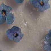 ヒメ日記 2025/01/30 08:03 投稿 るく 花火-hanabi-(すすきの)