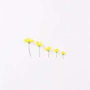 ヒメ日記 2025/04/25 10:45 投稿 るく 花火-hanabi-(すすきの)