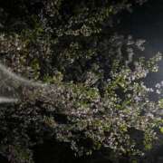 ヒメ日記 2025/05/13 19:36 投稿 るく 花火-hanabi-(すすきの)