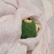 ヒメ日記 2026/01/16 09:03 投稿 るく 花火-hanabi-(すすきの)