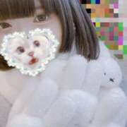 ヒメ日記 2024/12/21 17:21 投稿 まくま 日暮里・西日暮里サンキュー