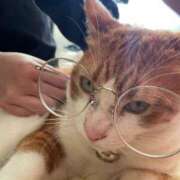 ヒメ日記 2025/03/19 18:23 投稿 まくま 日暮里・西日暮里サンキュー