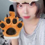 ヒメ日記 2025/04/18 18:21 投稿 まくま 日暮里・西日暮里サンキュー