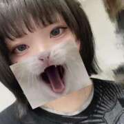 ヒメ日記 2025/04/28 22:51 投稿 まくま 日暮里・西日暮里サンキュー