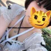 ヒメ日記 2025/09/02 02:21 投稿 まくま 日暮里・西日暮里サンキュー