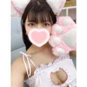 ヒメ日記 2025/11/20 17:20 投稿 はるな チューリップ姫路店