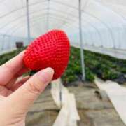 ヒメ日記 2025/04/07 12:48 投稿 ゆき 小田原人妻城