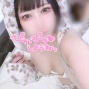 ヒメ日記 2025/04/08 16:50 投稿 ねお SPIN(スピン)