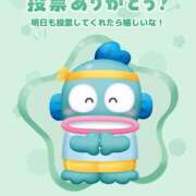 ねお きたよ〜🙆‍♀️ SPIN(スピン)