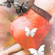 ヒメ日記 2025/03/14 19:55 投稿 一色 あみ こあくまな熟女たち 神戸西・明石店（KOAKUMAグループ）