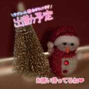 ヒメ日記 2024/12/09 10:53 投稿 ながと 綺麗なお姉様専門　町田リング4C（アンジェリークグループ）