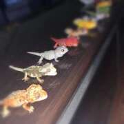 ヒメ日記 2025/02/27 14:53 投稿 ながと 綺麗なお姉様専門　町田リング4C（アンジェリークグループ）