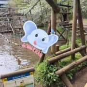 泉ちこ おはよー 若奥サマンサ（横浜ハレ系）