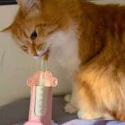 ヒメ日記 2026/04/20 08:14 投稿 泉ちこ 若奥サマンサ（横浜ハレ系）