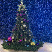 ひまり おはようございます！ 奥鉄オクテツ神奈川店（デリヘル市場グループ）