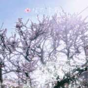 ヒメ日記 2026/03/04 12:20 投稿 ひまり 奥鉄オクテツ神奈川店（デリヘル市場グループ）