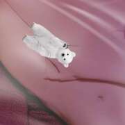 ヒメ日記 2025/01/19 22:42 投稿 ひびき(NH)ちゃん プレミア奥様（プレミアマダム）