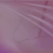 ヒメ日記 2025/04/14 06:12 投稿 ひびき(NH)ちゃん プレミア奥様（プレミアマダム）