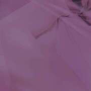 ヒメ日記 2025/04/16 22:11 投稿 ひびき(NH)ちゃん プレミア奥様（プレミアマダム）