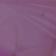 ヒメ日記 2025/04/18 06:12 投稿 ひびき(NH)ちゃん プレミア奥様（プレミアマダム）