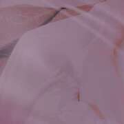 ヒメ日記 2025/04/18 17:12 投稿 ひびき(NH)ちゃん プレミア奥様（プレミアマダム）