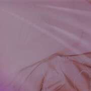 ヒメ日記 2025/04/19 20:11 投稿 ひびき(NH)ちゃん プレミア奥様（プレミアマダム）