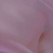 ヒメ日記 2025/04/20 06:12 投稿 ひびき(NH)ちゃん プレミア奥様（プレミアマダム）