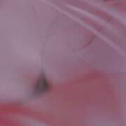 ヒメ日記 2026/01/27 06:11 投稿 ひびき(NH)ちゃん プレミア奥様（プレミアマダム）