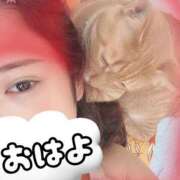 ヒメ日記 2025/08/03 20:12 投稿 きゃりー ハピネス福岡