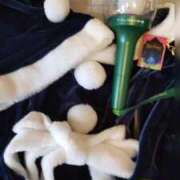 ヒメ日記 2024/12/18 00:11 投稿 まどか 花夫人