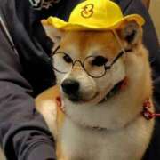 ヒメ日記 2025/06/05 15:52 投稿 まどか 花夫人