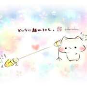 ヒメ日記 2025/07/16 11:56 投稿 まどか 花夫人