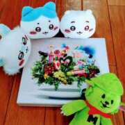 ヒメ日記 2025/08/09 16:19 投稿 まどか 花夫人