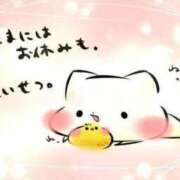 ヒメ日記 2025/08/16 20:13 投稿 まどか 花夫人