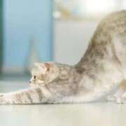 まどか お店に向かっています🙋✨ 花夫人