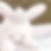 ヒメ日記 2025/09/10 14:00 投稿 ふゆ 西川口マーメイド