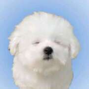 ヒメ日記 2025/09/24 16:00 投稿 ふゆ 西川口マーメイド