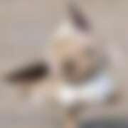 ヒメ日記 2025/10/02 14:00 投稿 ふゆ 西川口マーメイド