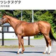 ヒメ日記 2025/01/13 05:50 投稿 咲（サク） シェリーエンジェル