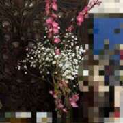 ヒメ日記 2025/03/01 23:00 投稿 咲（サク） シェリーエンジェル