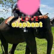 ヒメ日記 2025/03/21 09:03 投稿 咲（サク） シェリーエンジェル