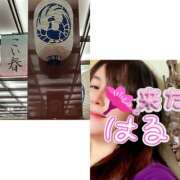 ヒメ日記 2025/03/23 23:30 投稿 咲（サク） シェリーエンジェル