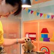 ヒメ日記 2025/04/17 18:49 投稿 咲（サク） シェリーエンジェル