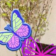 ヒメ日記 2025/04/28 23:47 投稿 咲（サク） シェリーエンジェル