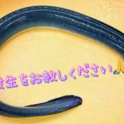 ヒメ日記 2025/07/06 22:02 投稿 咲（サク） シェリーエンジェル