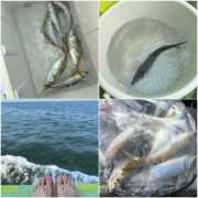 ヒメ日記 2025/07/09 11:13 投稿 咲（サク） シェリーエンジェル