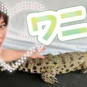 ヒメ日記 2025/07/18 07:57 投稿 咲（サク） シェリーエンジェル