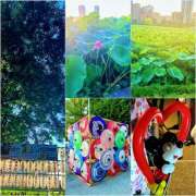 ヒメ日記 2025/07/22 16:25 投稿 咲（サク） シェリーエンジェル