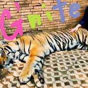 ヒメ日記 2025/07/31 23:12 投稿 咲（サク） シェリーエンジェル